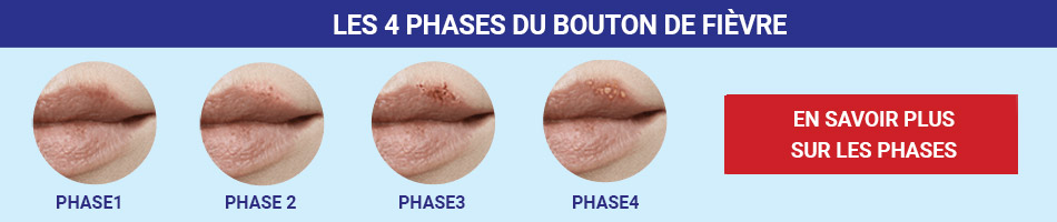 phases-fr