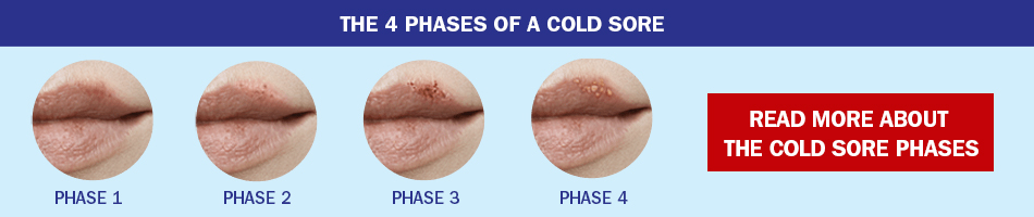 PHASES_Eng
