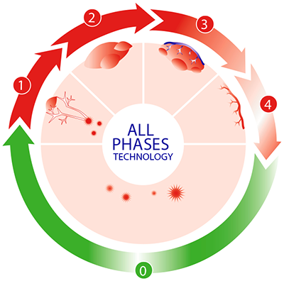 phases